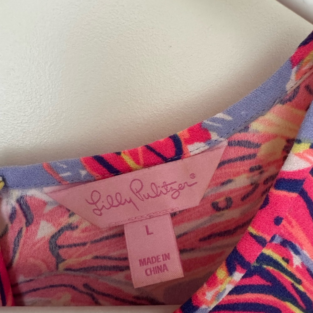 Lilly Pulitzer HTF & Holy Grail Molly Haynes Dress. SZ Large - Picture 4 of 7